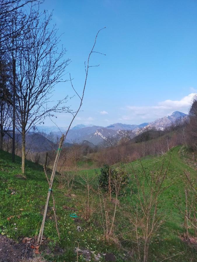 Chalet Simonetta - Locanda Da Tullio Capovalle 외부 사진